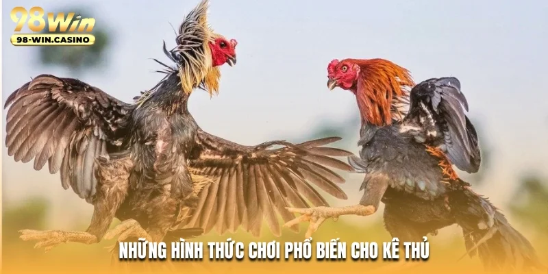 Những hình thức chơi phổ biến cho kê thủ