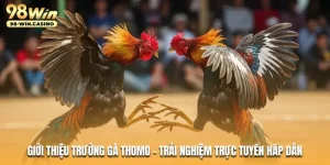 gioi-thieu-truong-ga-thomo-trai-nghiem-truc-tuyen-hap-dan